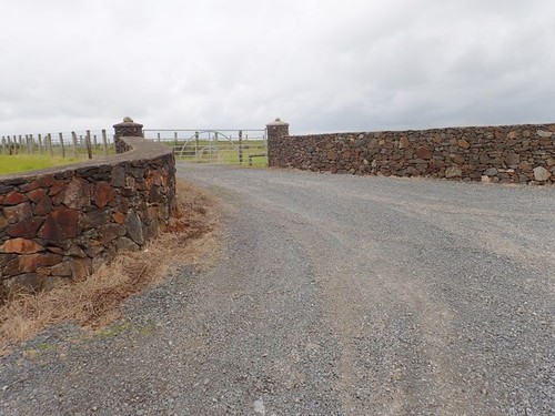 Photo new ornamental farm - photo,