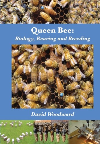 Queen bee biology rearing - bee:,