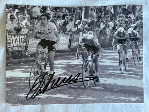 Signed eddie merckx - ,