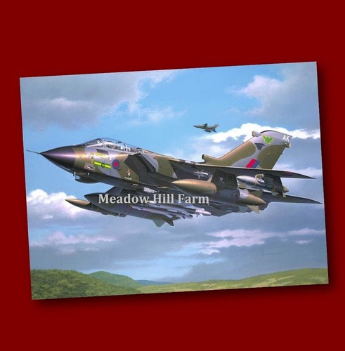 Fridge magnet raf tornado - raf,