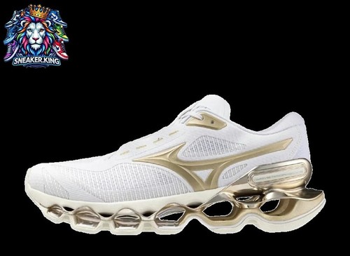 Mizuno wave prophecy - mizuno,