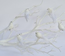 6 White Feather Birds Dove