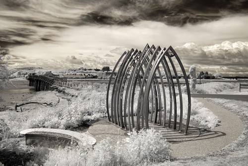 Nikon d80 infrared - d80, converted