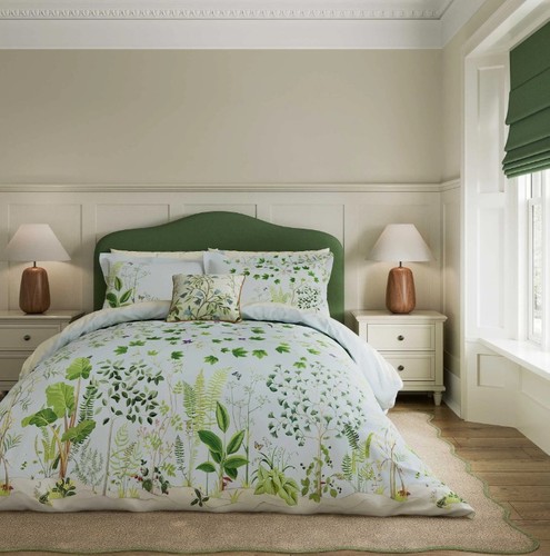 Sanderson sycamore oak - &,