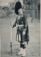 Colour Sergeant The Connaught