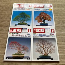 Modern Bonsai Magazines Set of