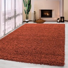 Thick Large Shaggy Rugs Non
