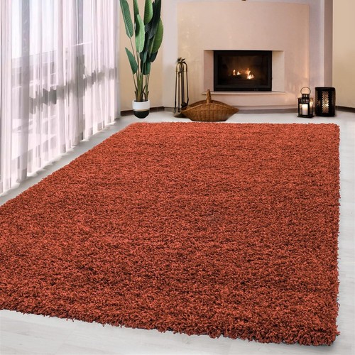 Thick large shaggy rugs - large,