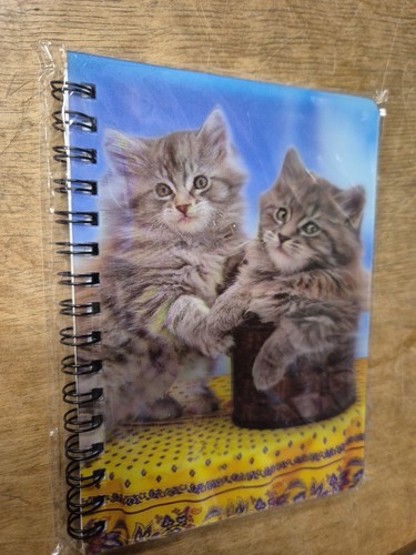 Maine coone kittens notebook - maine,