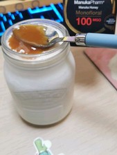 Homemade Pure L. Reuteri