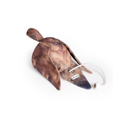 The Original Clone®️ Dead