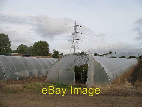 Photo 6x4 polytunnels - photo,