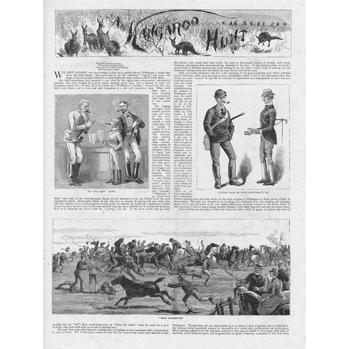 Australia kangaroo hunt 2x - a,