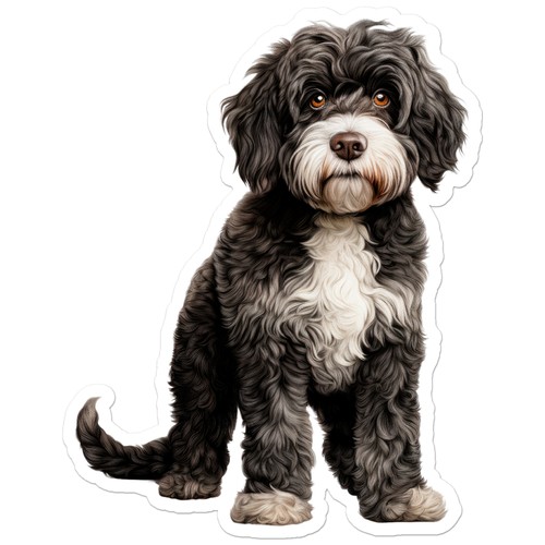 Portuguese water dog vinyl - dog,