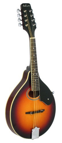 Ashbury mandolin - am-50,