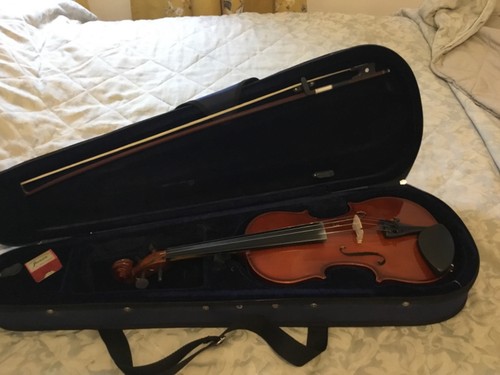 Violin case with - bow, the