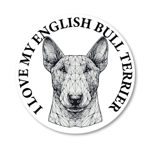 English bull terrier - english,
