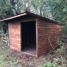 Horse pony shelter - horse&pony, shelter/stable