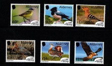 ALDERNEY 2026 BIRDS