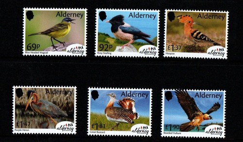 Alderney 2026 birds - 2026,