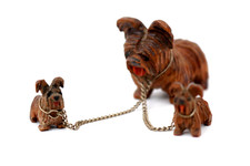 Black Forest Scottish Terrier Dog Group and Puppies Circa 1930