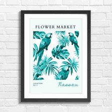 Colorful Macaw Parrots Amidst