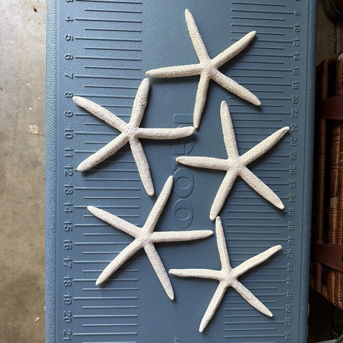 Lot dried white - 5,