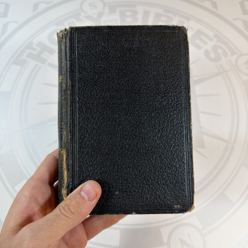 Holy bible kjv - bible,