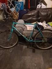 Raleigh Gear Bike Tires Just