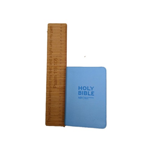 Niv holy bible - holy, pastel