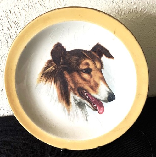 Picture collie plate - of,