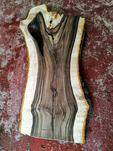 English walnut slab live edge - english,
