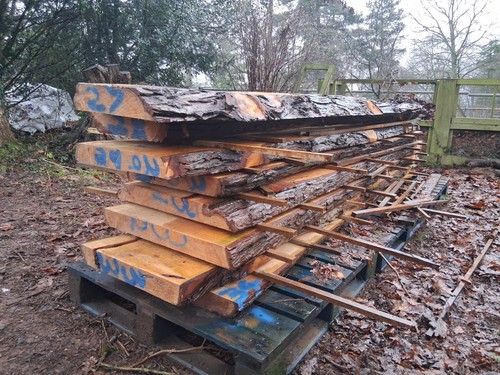 Live edge pine - edge,