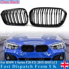 Twin Slat Front Kidney Grille