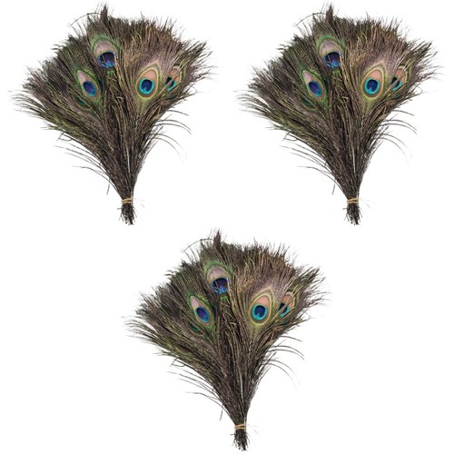 Bulk natural peacock plumes - peacock,