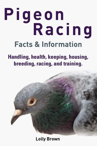 Pigeon racing handling health - pigeon,