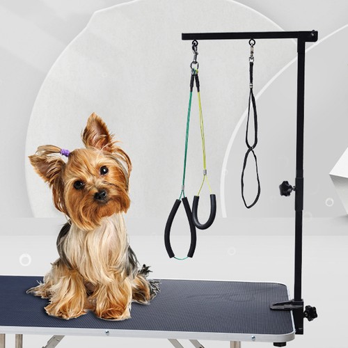 Foldable dog grooming table - dog,