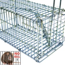 Mouse traps mice - mouse,