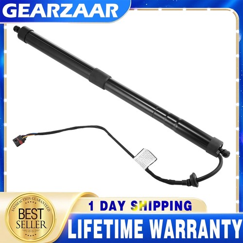 Tailgate gas strut - tailgate,