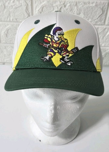 Vintage 1990s mighty ducks - vintage, d-5