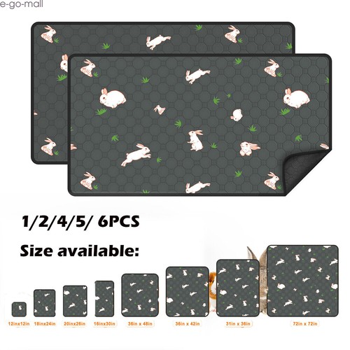 Washable guinea pig - washable,