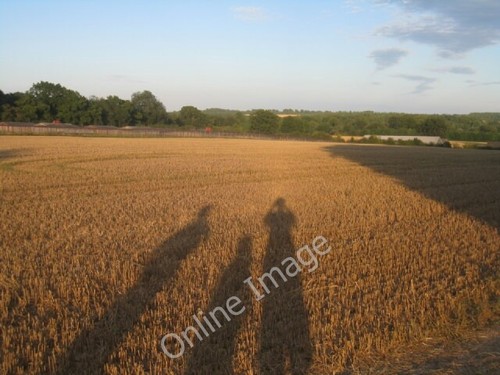 Photo 6x4 three - 6x4,