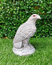 Eagle 15cm 9cm - x, latex