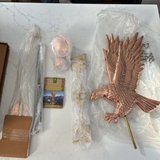 American Bald Eagle