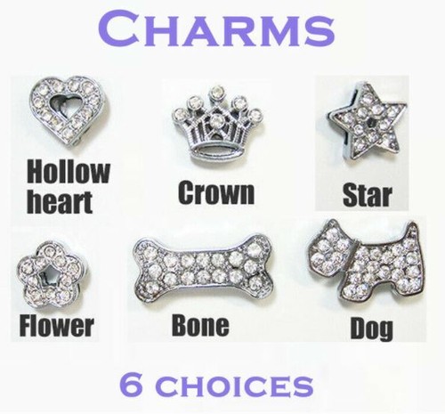 Personalised dog collar - dog,
