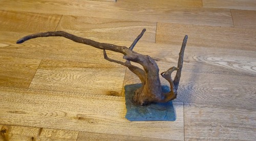 Red moor wood root - wood, slate