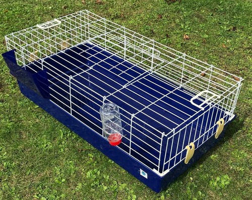 Single level indoor - indoor, rabbit