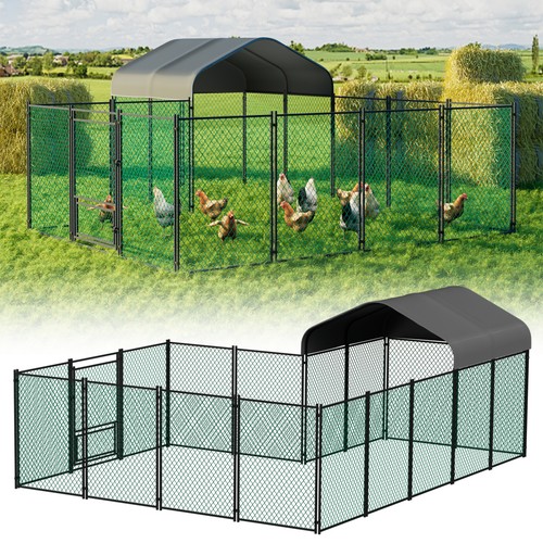Extra large chicken coop - extra,