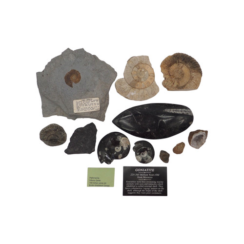 Job lot bundle - job, mixed