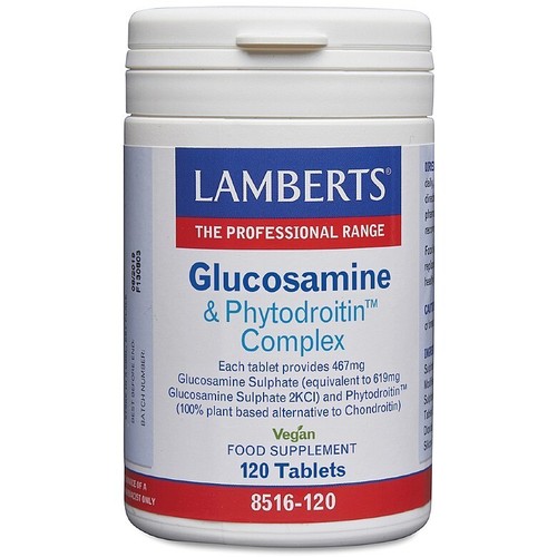 Lamberts glucosamine - lamberts, &